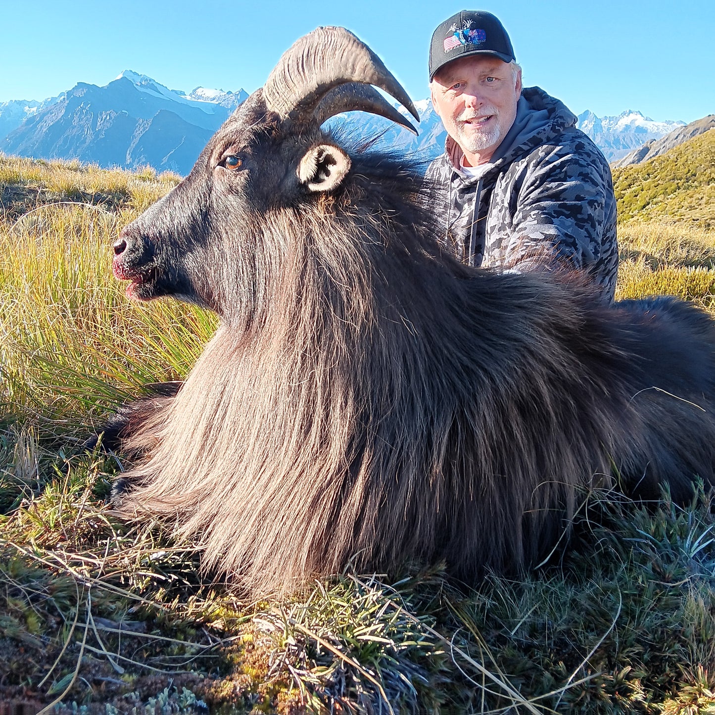 Helicopter Tahr & Chamois Hunt - New Zealand Quest