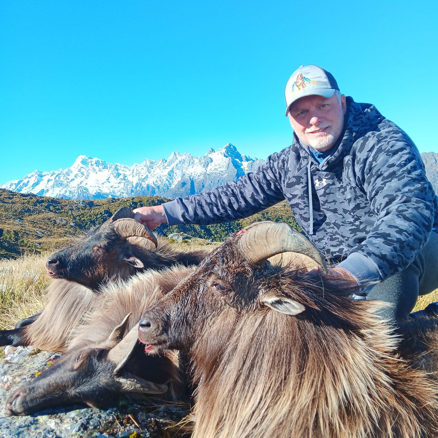 Helicopter Tahr & Chamois Hunt - New Zealand Quest
