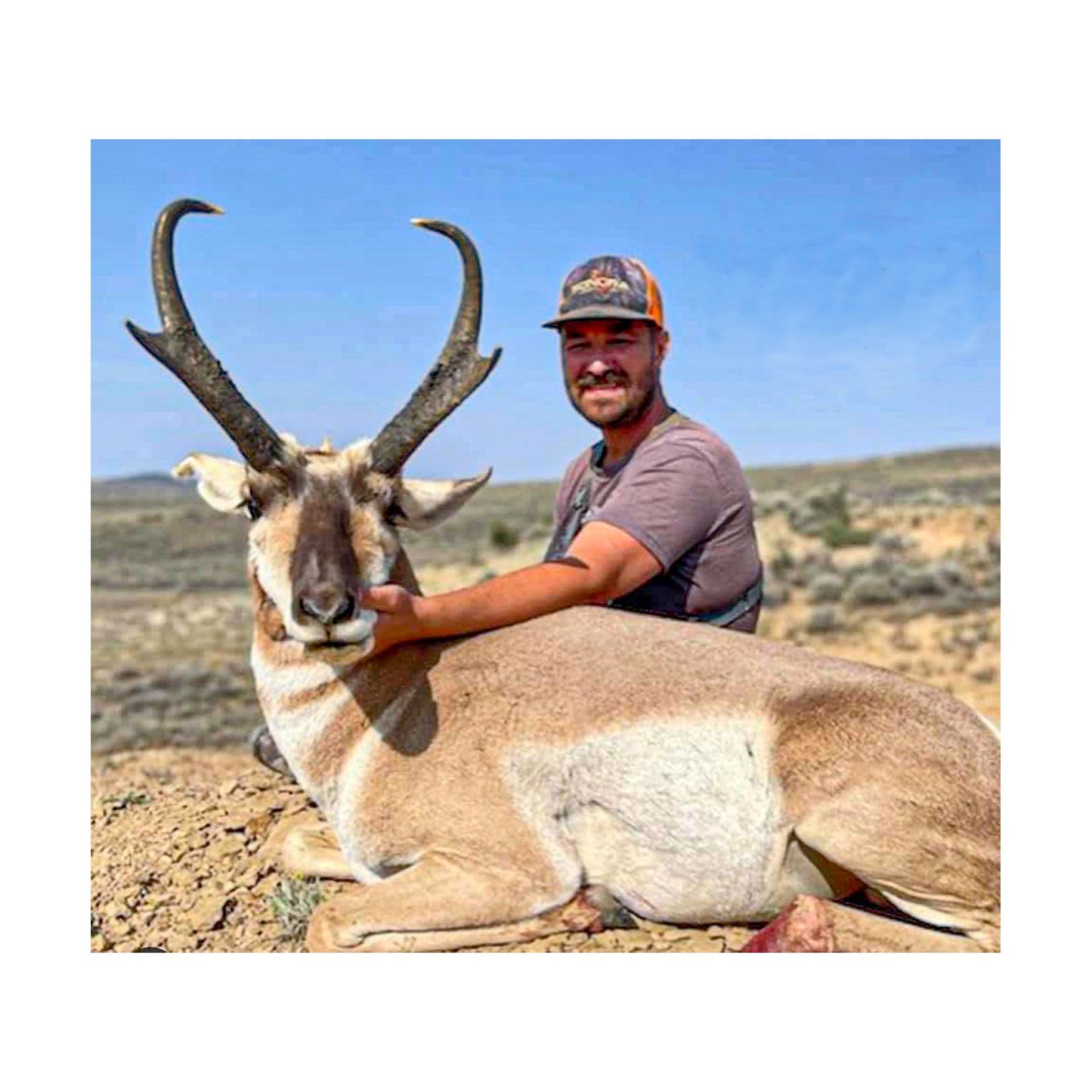 CANCELLATION Wyoming Pronghorn Antelope Hunt