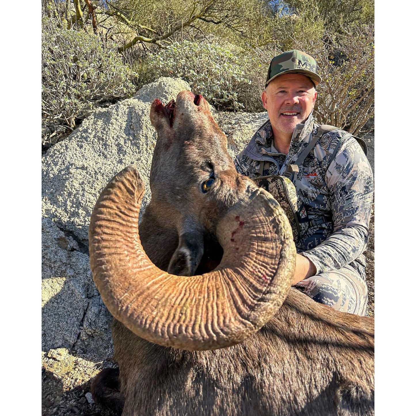Tiburon Island Desert Sheep Hunt for 1