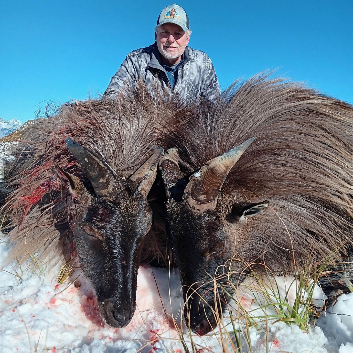 NZ Red Stag Hunt (just $300 locks in your 2026 reservation)