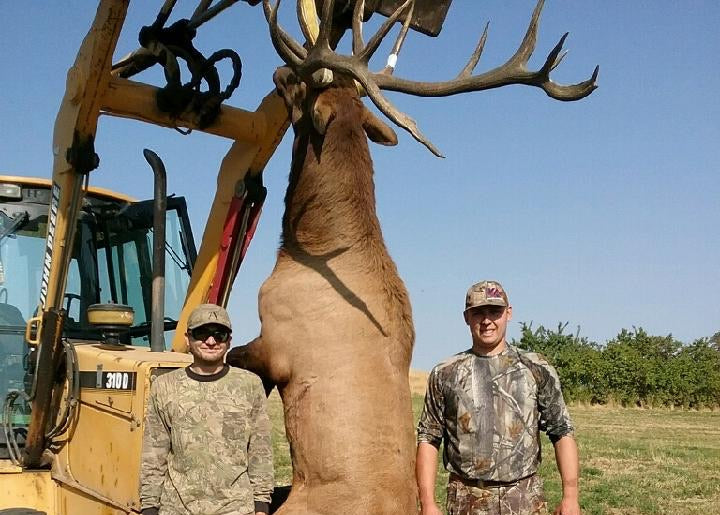 Bull Elk Hunt for 2