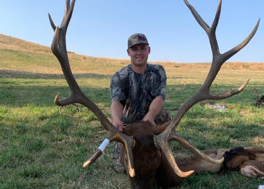 Bull Elk Hunt for 2