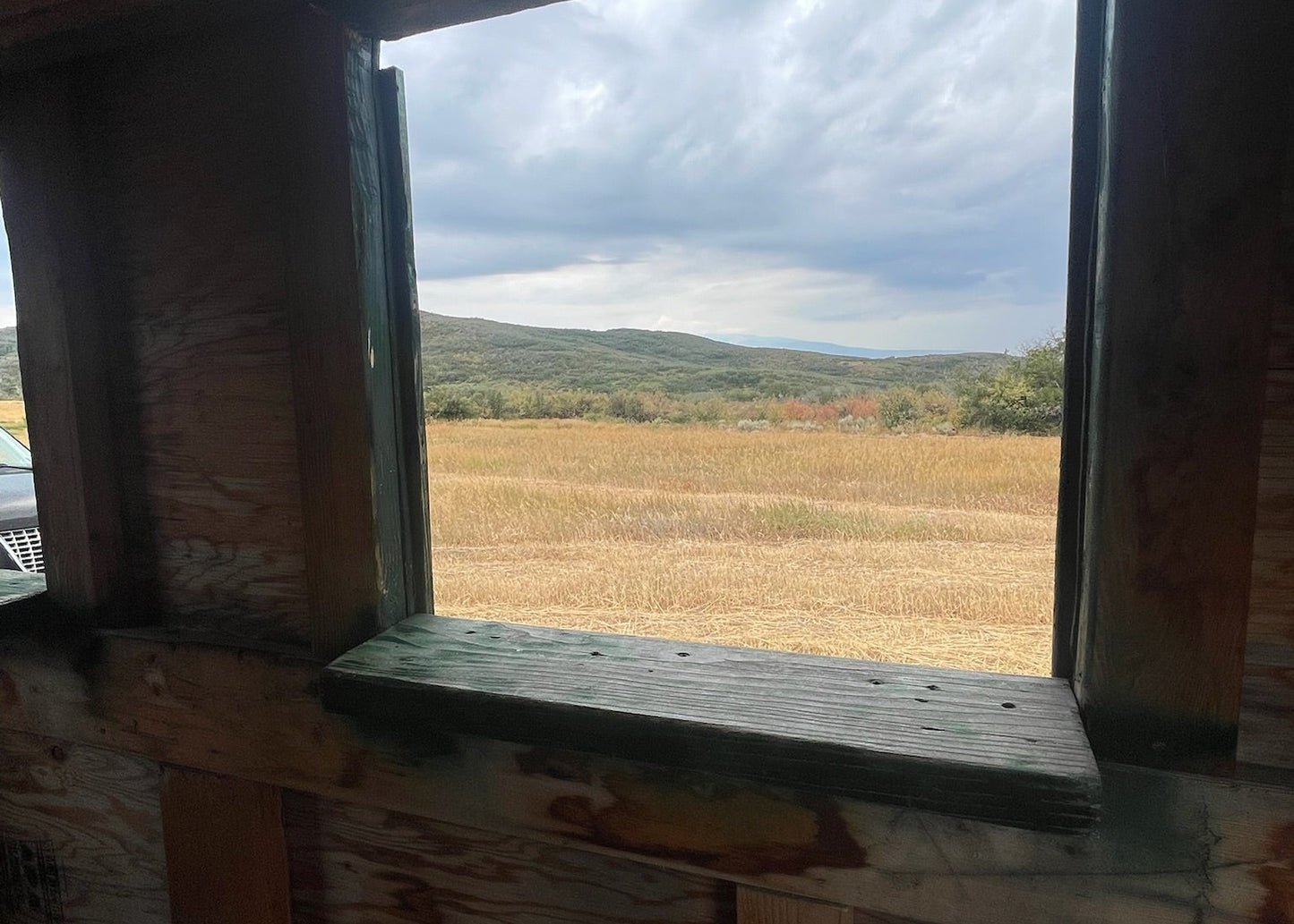 CO Elk, Mule Deer & Black Bear Hunt for 2