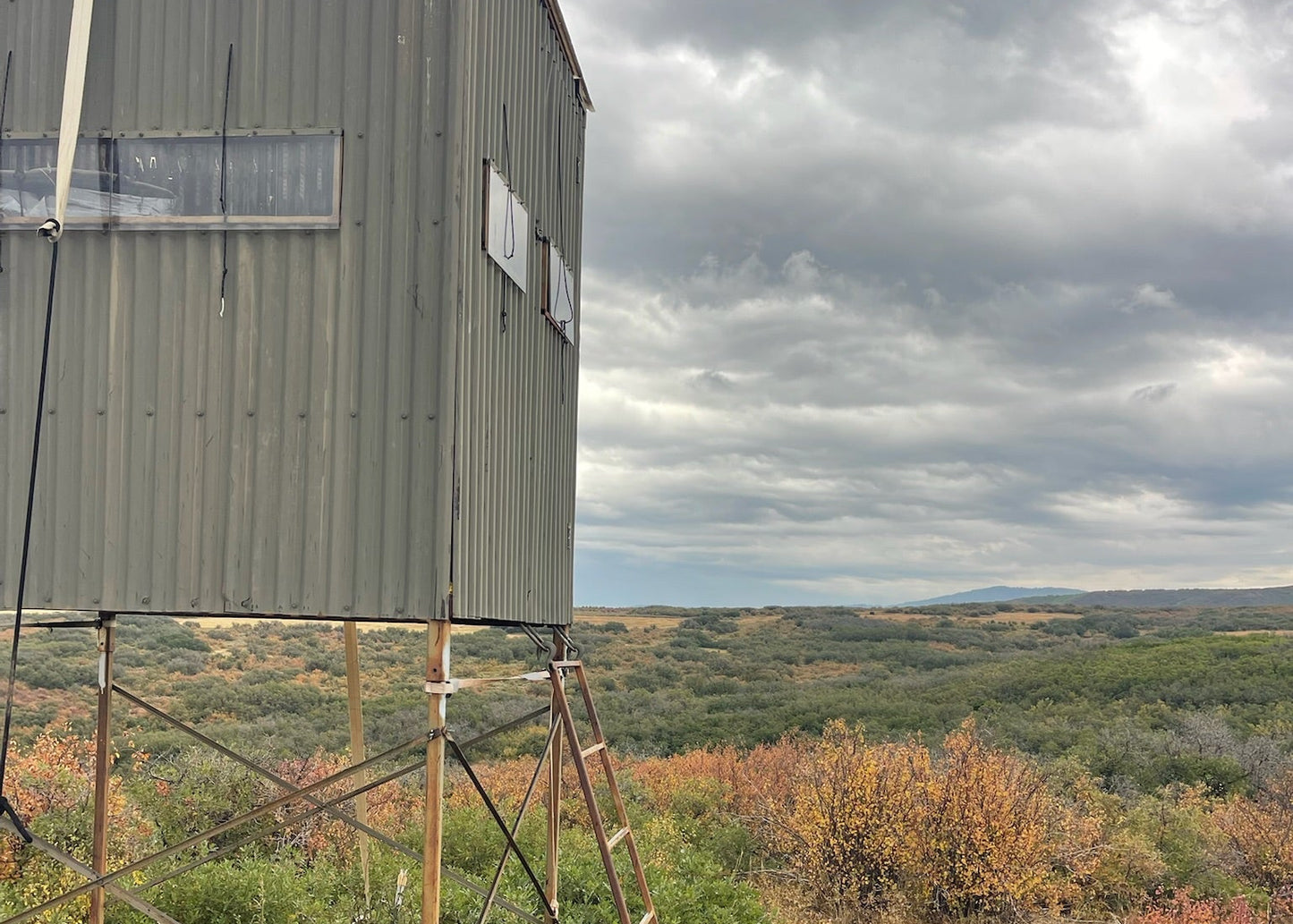 CO Elk, Mule Deer & Black Bear Hunt for 2