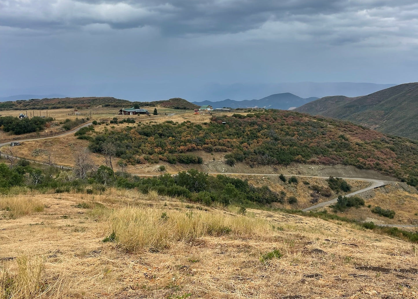 CO Elk, Mule Deer & Black Bear Hunt for 2