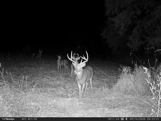 MO Whitetail Hunt for 3