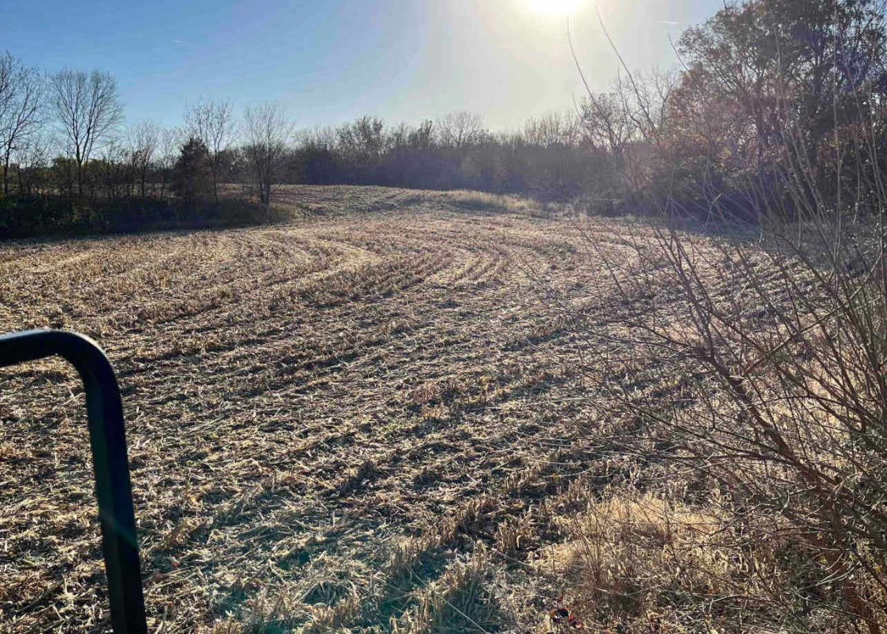 Whitetail Deer Ranch