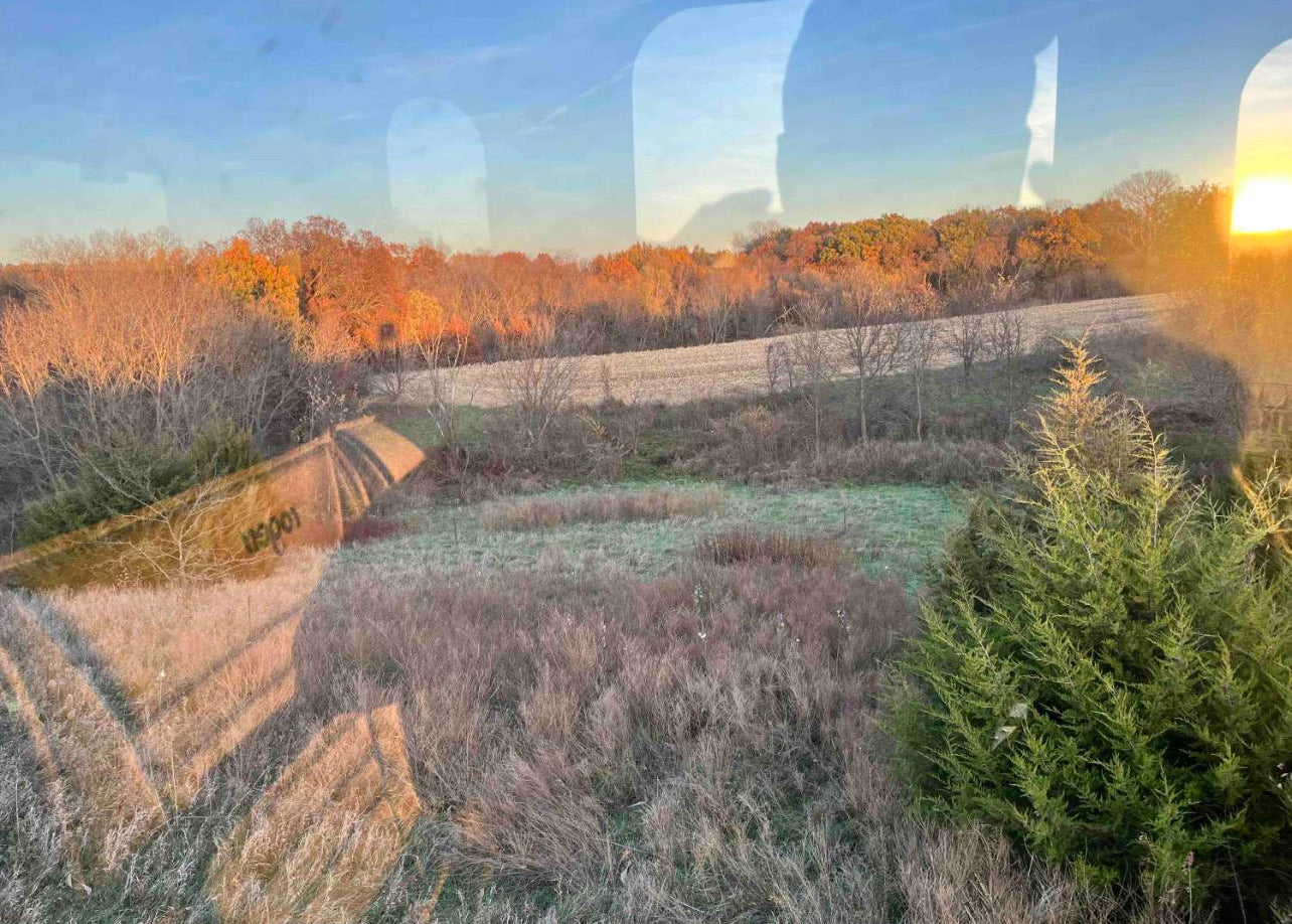 Whitetail Deer Ranch