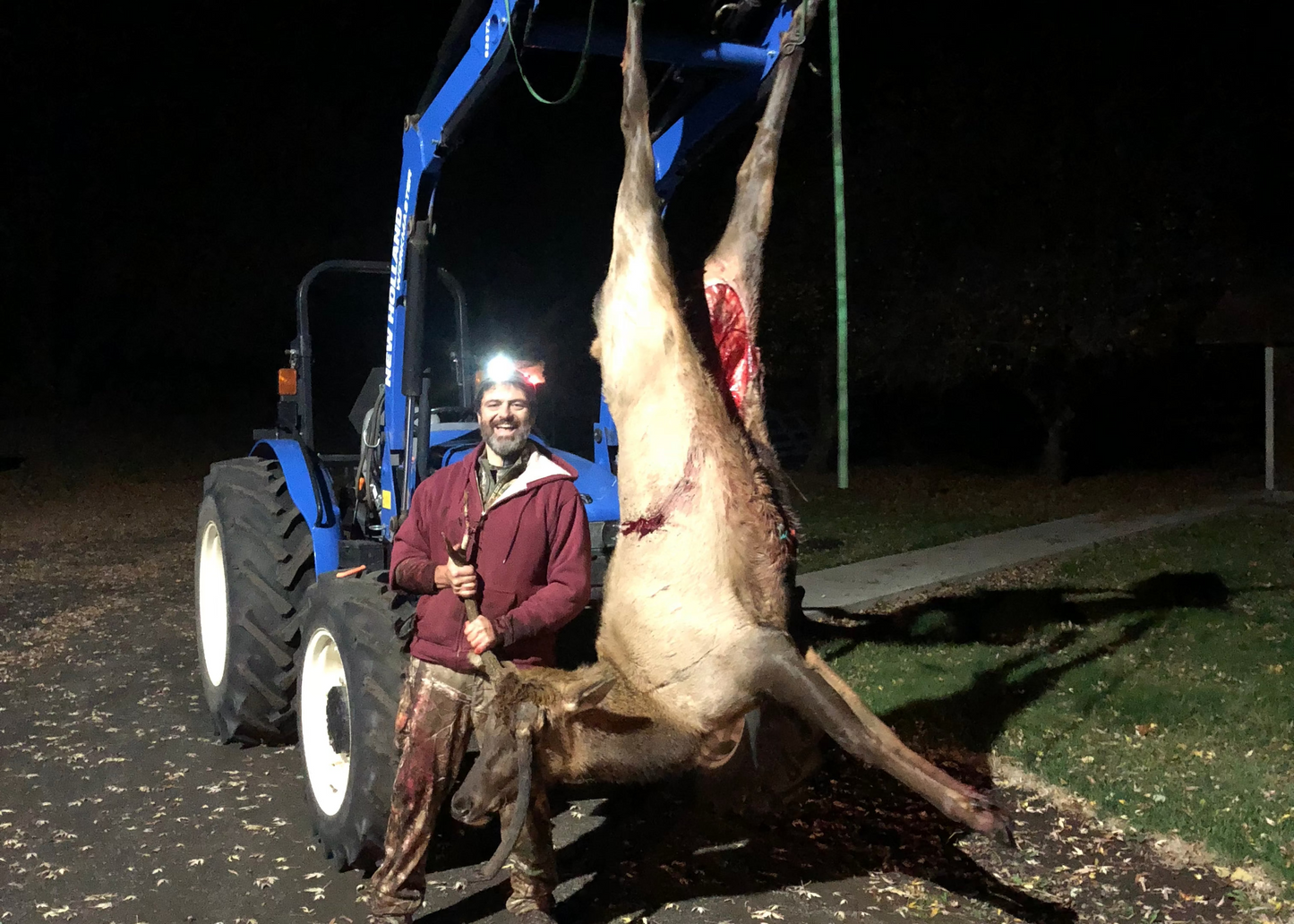 Bull Elk Hunt for 2
