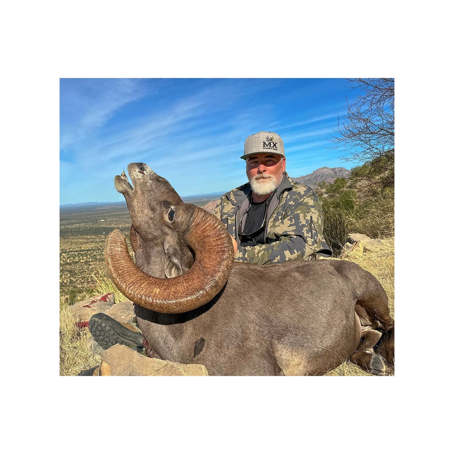 Tiburon Island Desert Sheep Hunt for 1