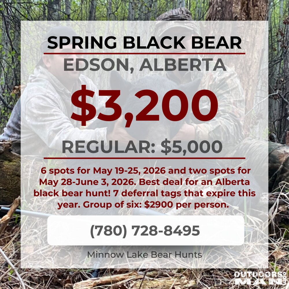Spring black bear hunt, Edson Alberta, $3,200 regular $5,000 — Minnow Lake Bear Hunts