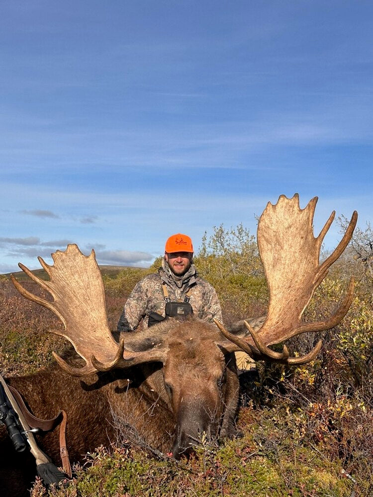 Trophy moose, Alaska, $38,000 fully guided fly-out — Davis Outfitters