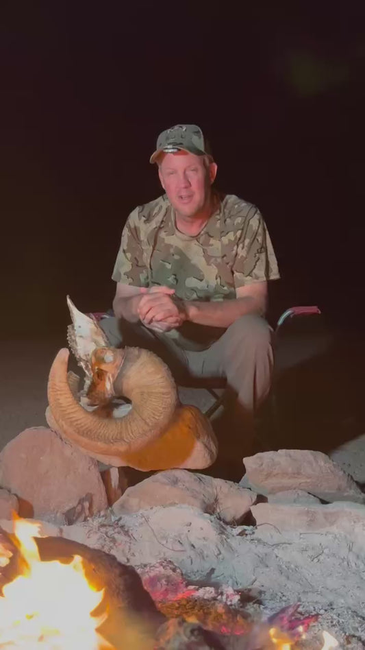 Tiburon Island Desert Sheep Hunt for 1