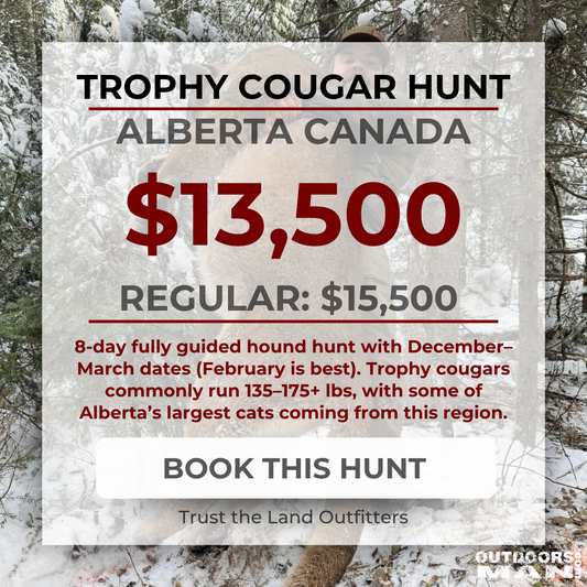 Trophy Cougar Hunt